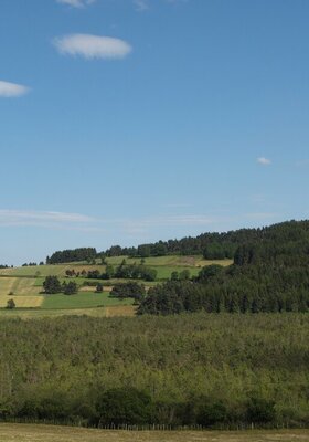 Chemins de randonnées